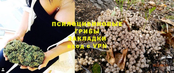 дживик Баксан
