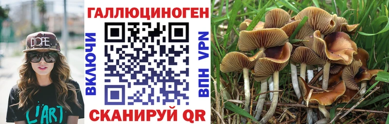 Псилоцибиновые грибы мухоморы  кракен ONION  Горно-Алтайск 